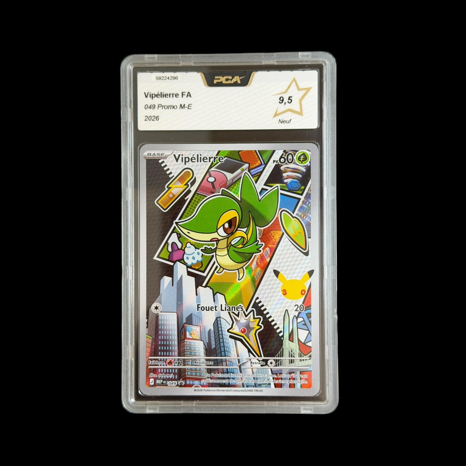 Vipélierre FA — 049 — Promo M-E — PCA 9.5