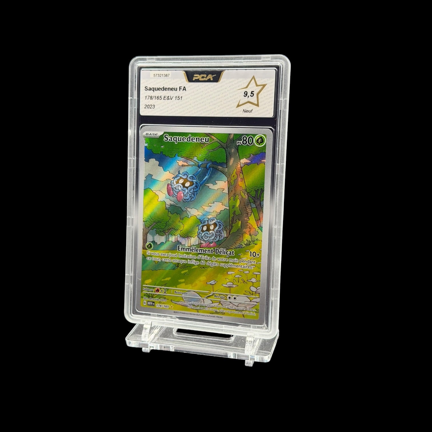 Saquedeneu FA MEW 178 PCA 9.5