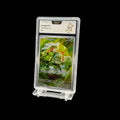 Chenipan FA MEW 172 PCA 9.5