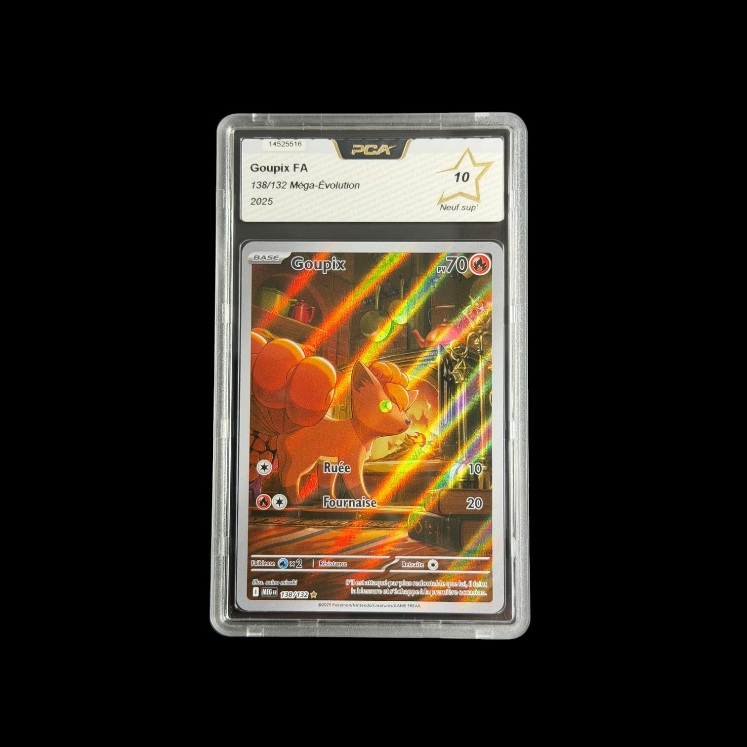 Goupix FA 138/132 PCA 10