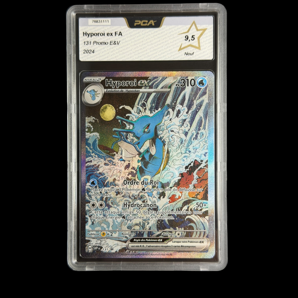Hyporoi ex FA 131 Promo E&V PCA 9.5